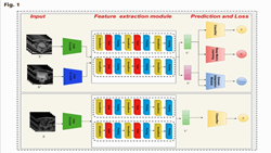 A domain-adaptive deep contrastive network for magnetic resonance imaging-driven bladder cancer classification